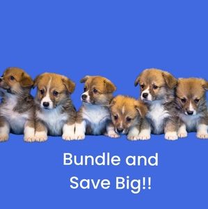 2 For 1 On All Clothes & Accessories (Excludes Purses Wallets Wristlet & Shoes).